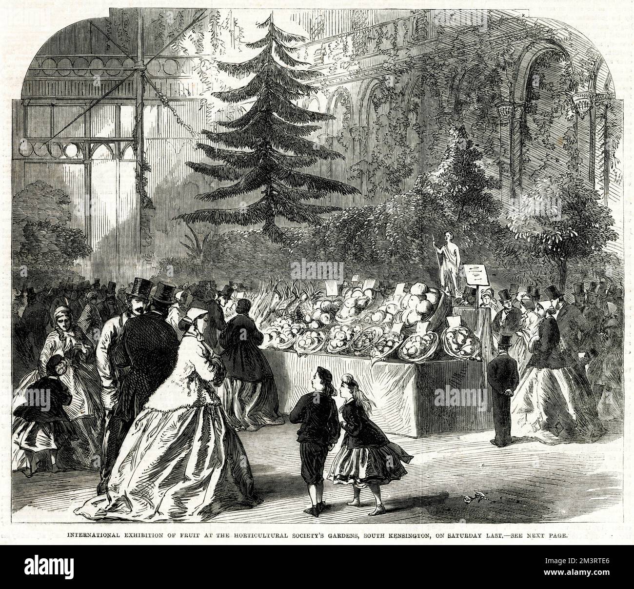 Esposizione internazionale di frutta e verdura presso i Royal Horticultural Society Gardens, South Kensington, Londra. 1865 Foto Stock