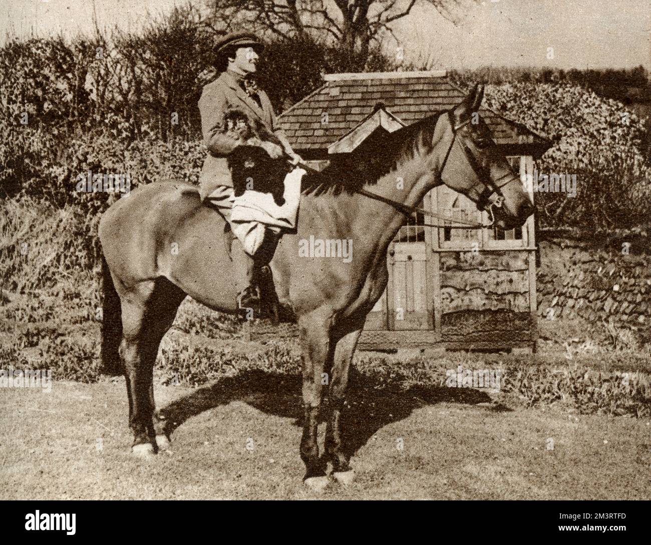 Signora A. J. Munnings a cavallo nel Somerset Foto Stock