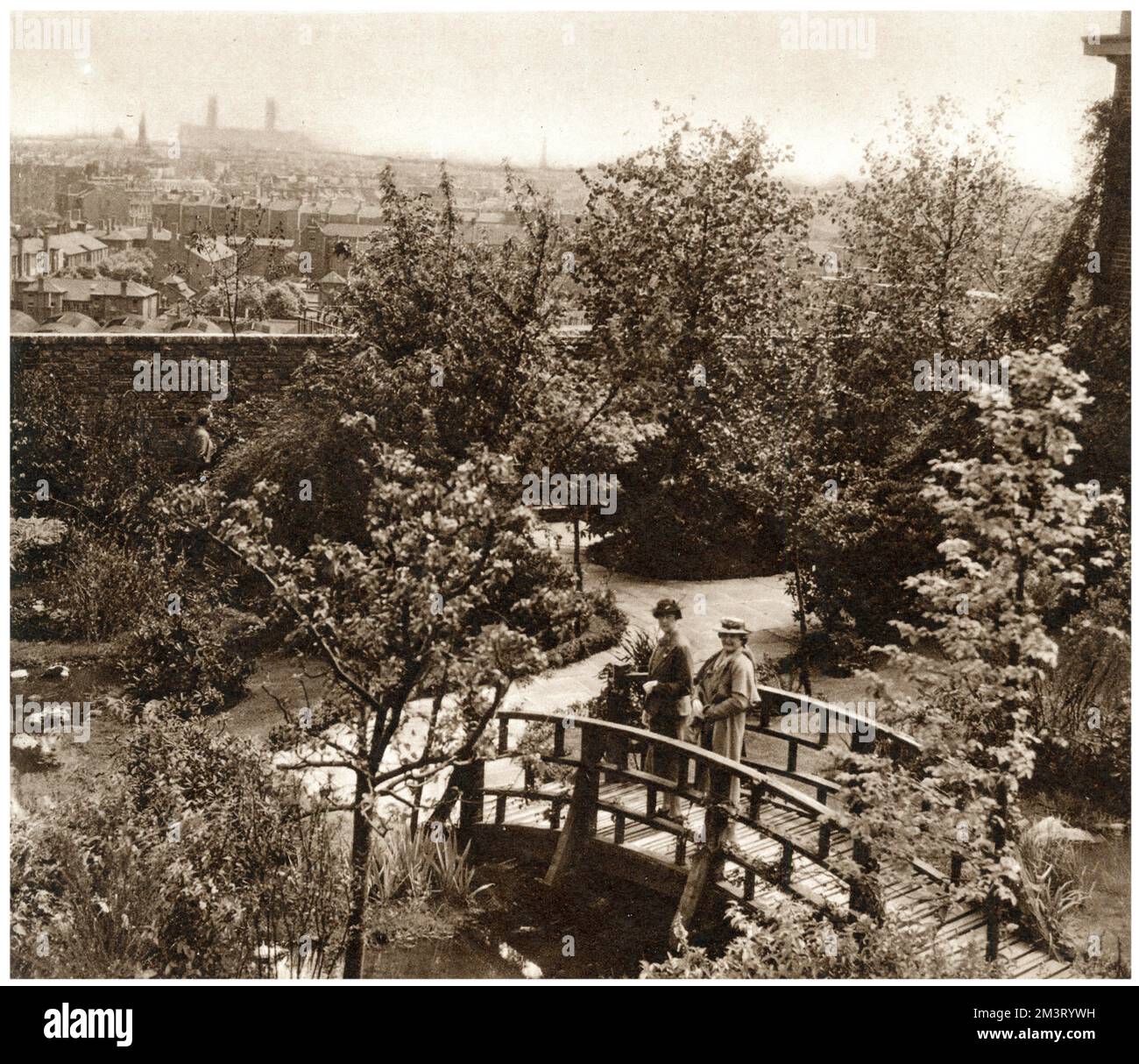 Giardino sul tetto di Derry e Toms, Kensington Foto Stock