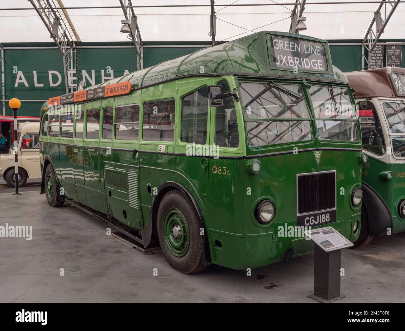 Un autobus 1938 Leyland Cub REC (FXT 122) London Passenger Transport Board Green Line nel London Bus Museum, parte del Brooklands Museum, Surrey, Regno Unito. Foto Stock
