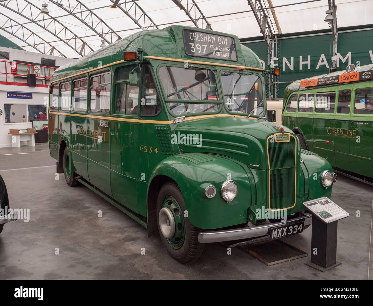 Un autobus 1953 Guy Special London Transport (MXX334) presso il London Bus Museum, parte del Brooklands Museum, Surrey, Regno Unito. Foto Stock