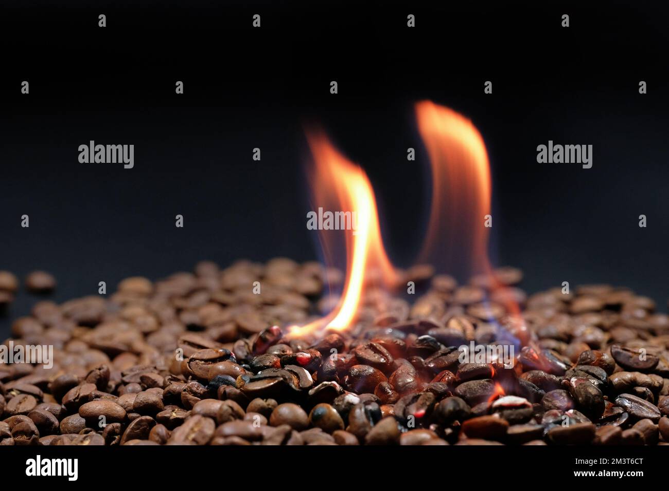 Tostatura dei chicchi di caffè con fuoco su sfondo scuro. Primo piano dei chicchi di caffè tostati Foto Stock