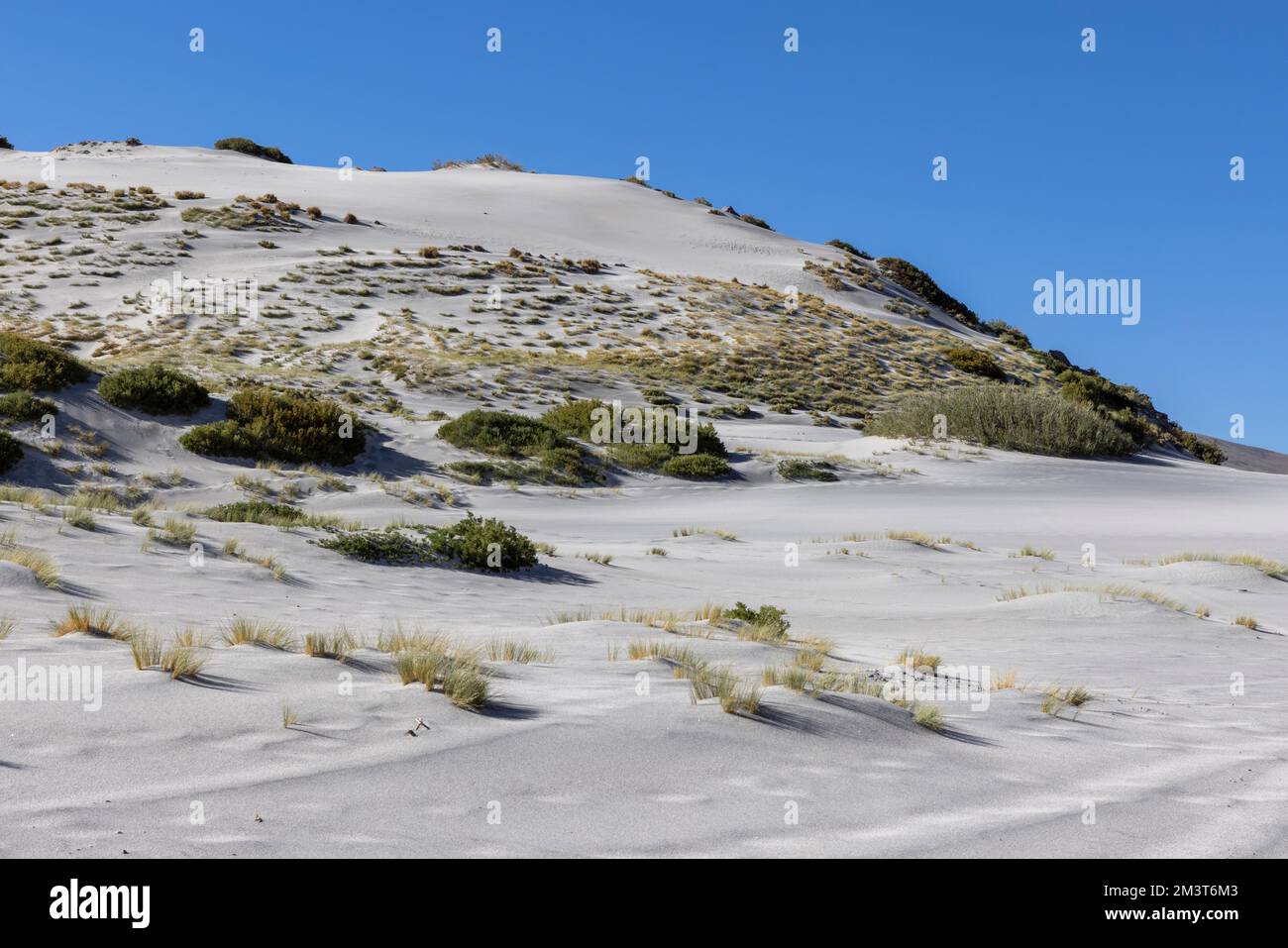 Paesaggio con dune e aree sabbiose a Paso Vergara - attraversando il confine dal Cile all'Argentina durante il viaggio in Sud America Foto Stock