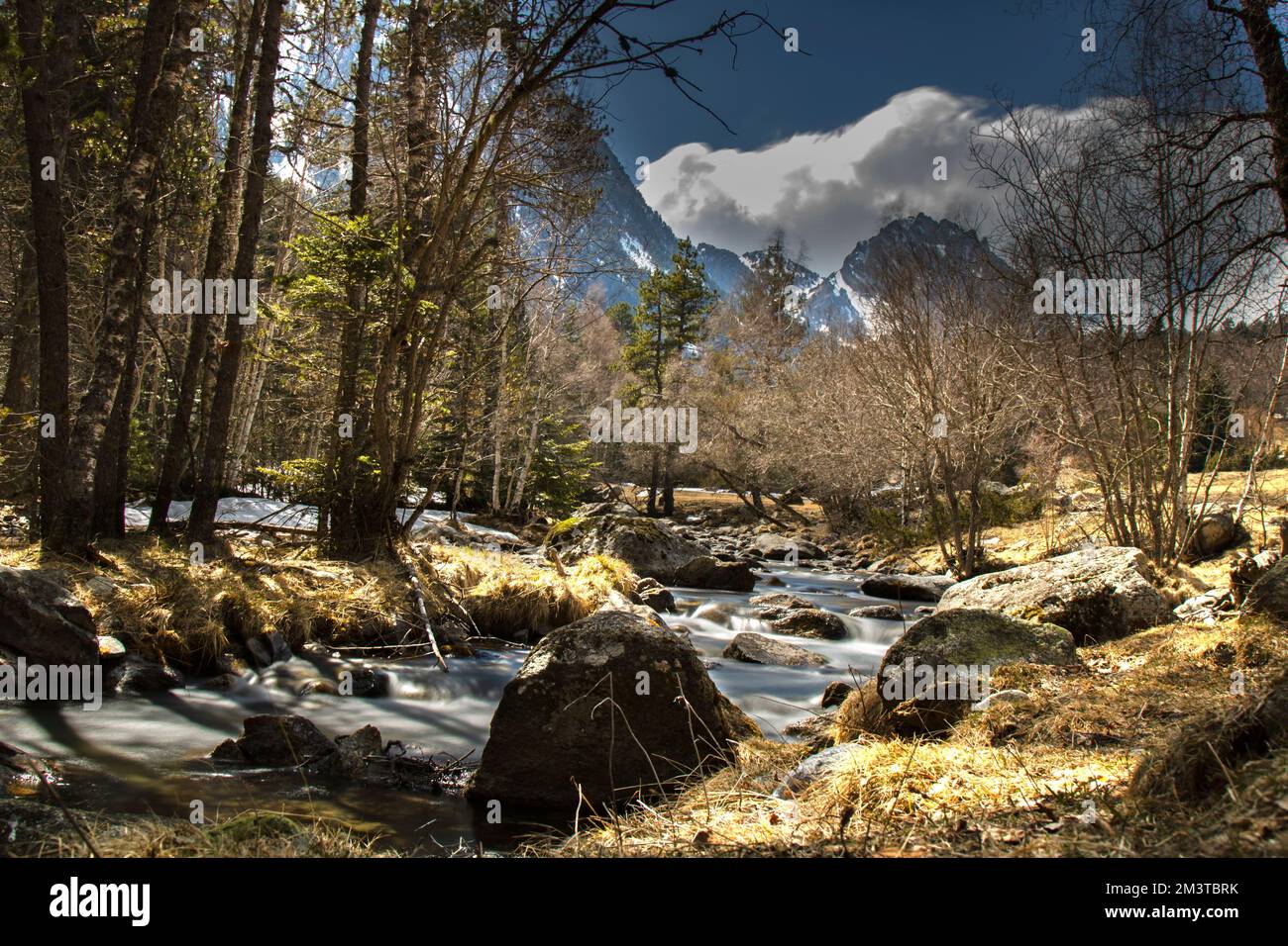 Un angolo basso di un fiume di montagna illuminato dal sole, erba gialla e pietre intorno Foto Stock