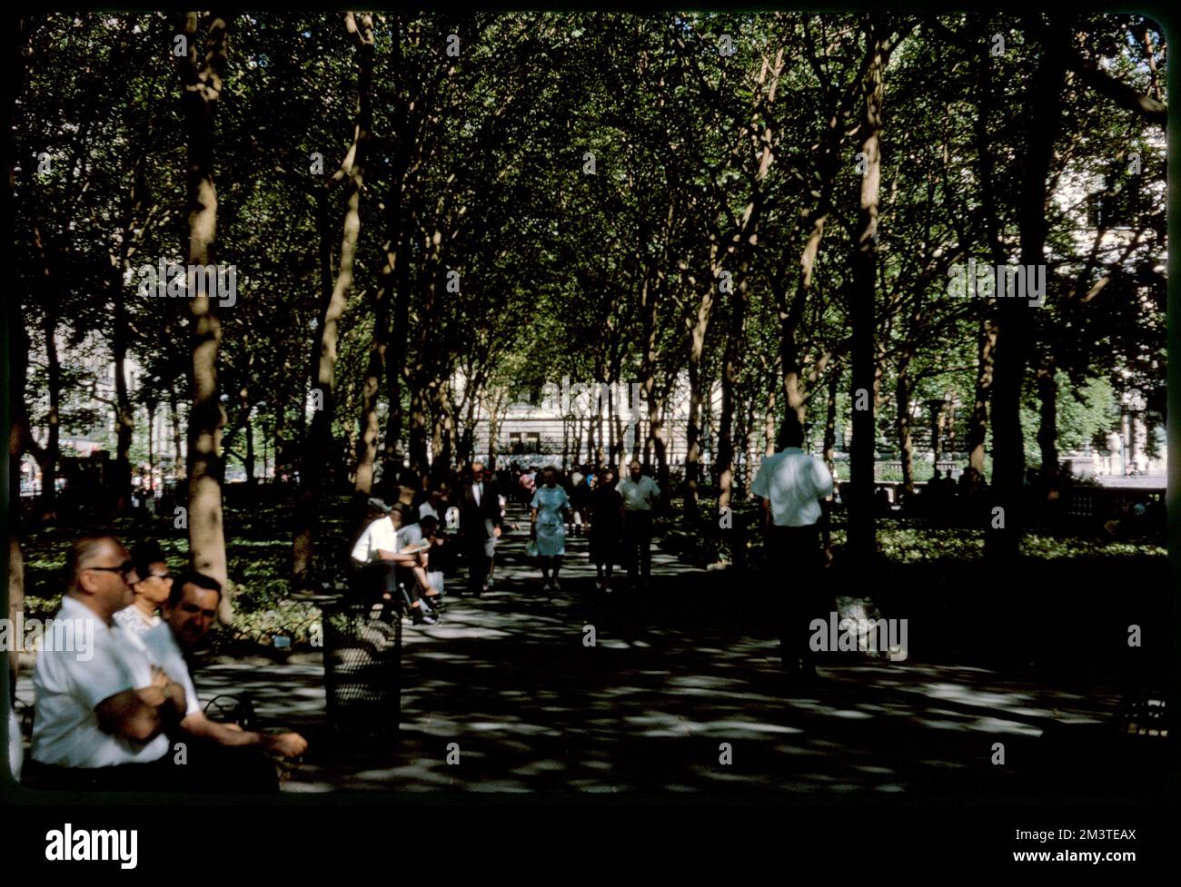 Percorso ombreggiato con alberi a strapiombo nel parco, Bryant Park, Manhattan, New York, Parchi. Collezione Edmund L. Mitchell Foto Stock