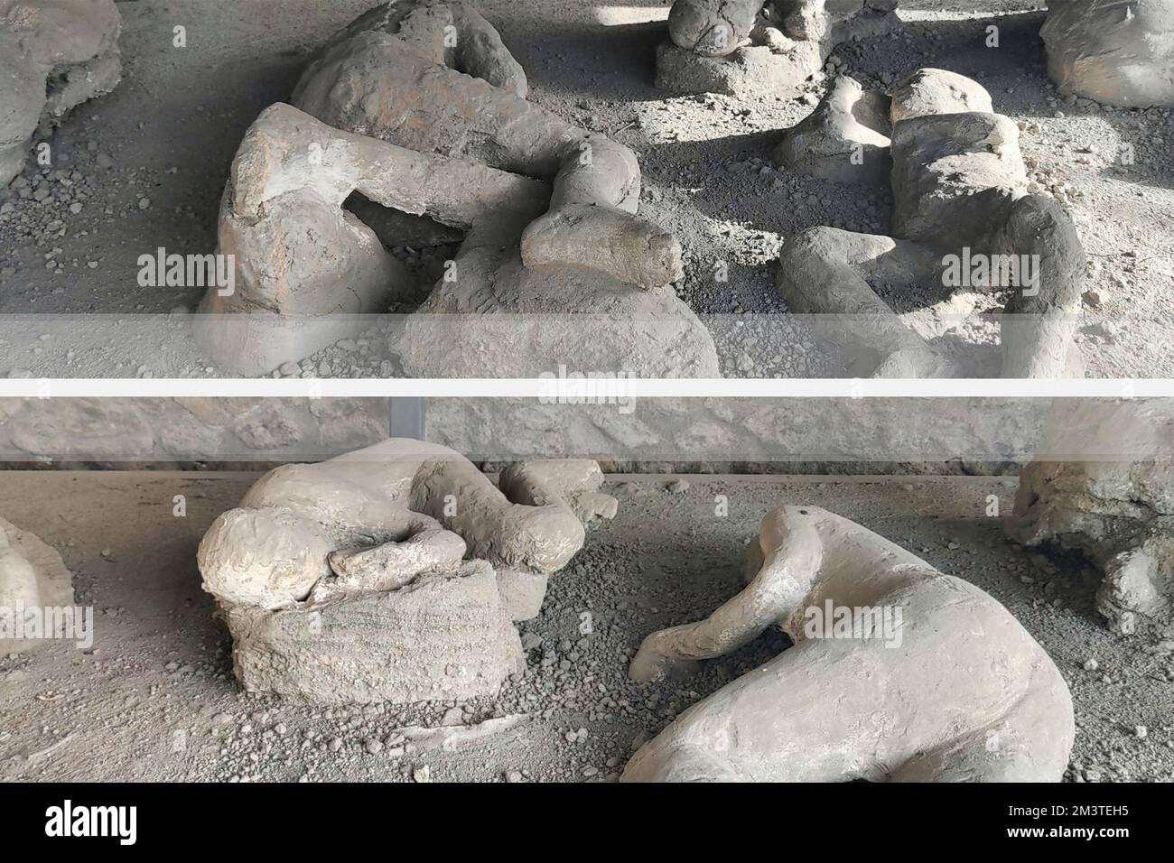 Pompei il giardino dei fuggitivi all'interno del quale sono state trovate 13 vittime, adulti e bambini, catturati dalla morte mentre cercavano di sfuggire alla furia del Vesuvio Foto Stock