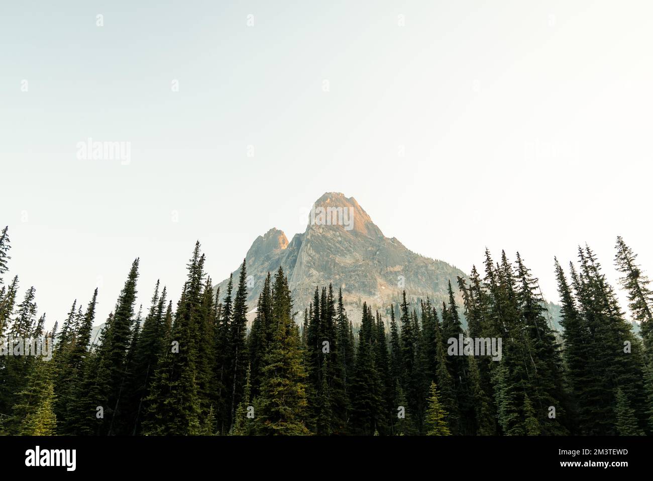 il washington pass si affaccia vicino all'entrata orientale del parco nazionale delle cascate settentrionali nel nord centrale di washington. Foto Stock