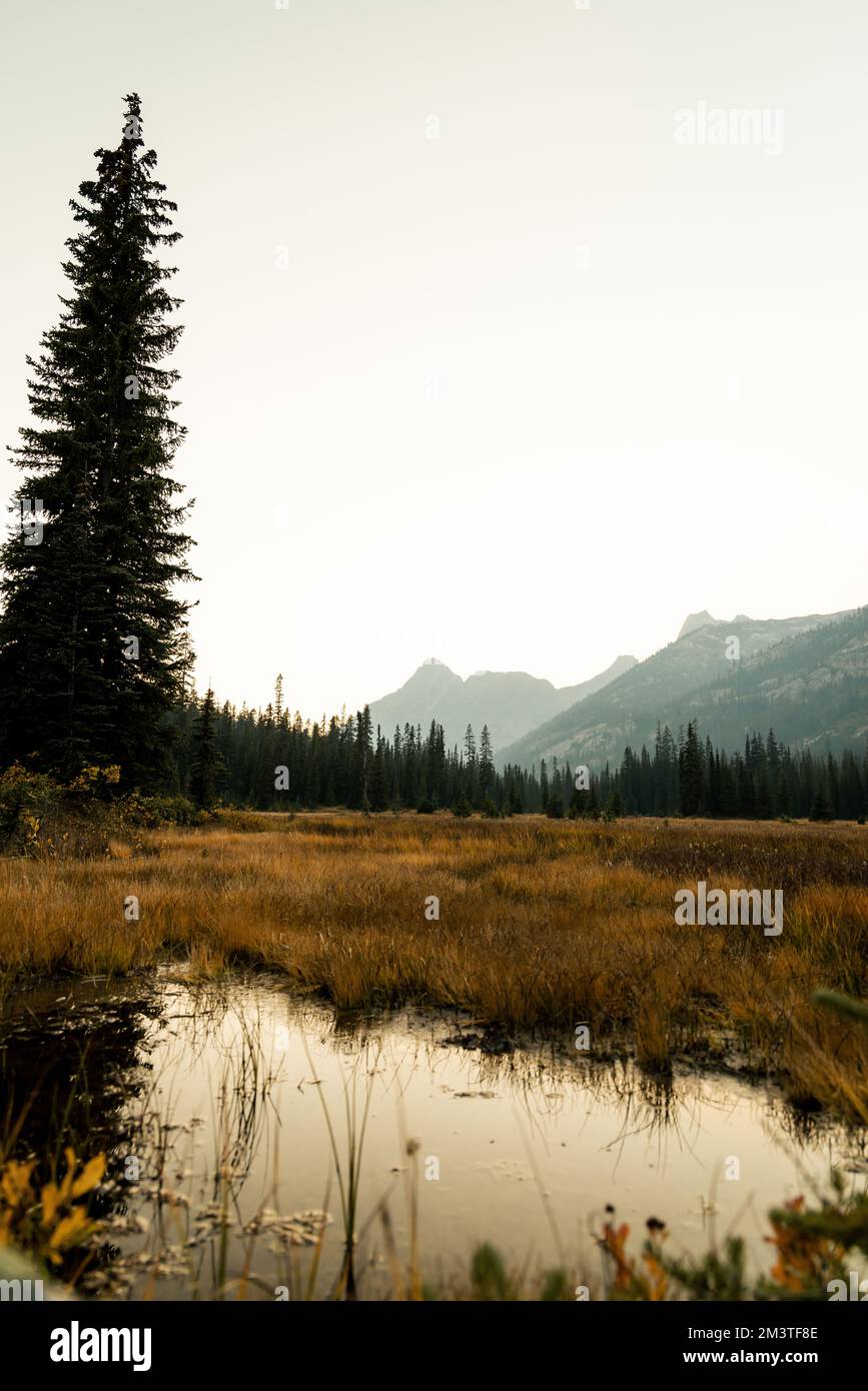 il washington pass si affaccia vicino all'entrata orientale del parco nazionale delle cascate settentrionali nel nord centrale di washington. Foto Stock