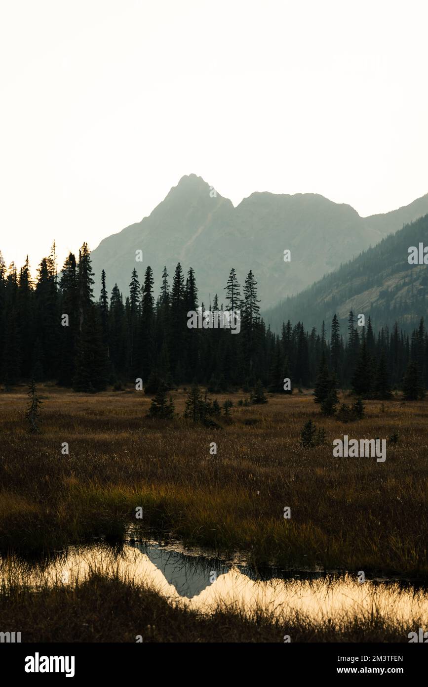 il washington pass si affaccia vicino all'entrata orientale del parco nazionale delle cascate settentrionali nel nord centrale di washington. Foto Stock