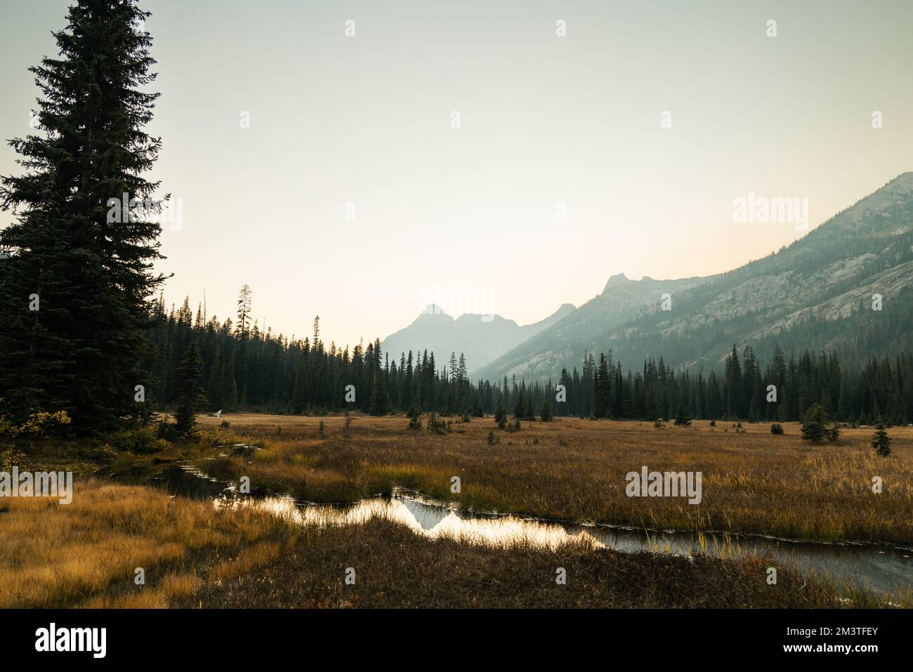 il washington pass si affaccia vicino all'entrata orientale del parco nazionale delle cascate settentrionali nel nord centrale di washington. Foto Stock