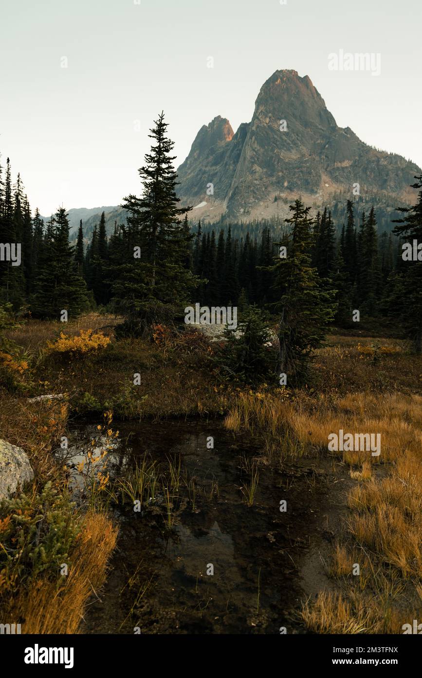 il washington pass si affaccia vicino all'entrata orientale del parco nazionale delle cascate settentrionali nel nord centrale di washington. Foto Stock