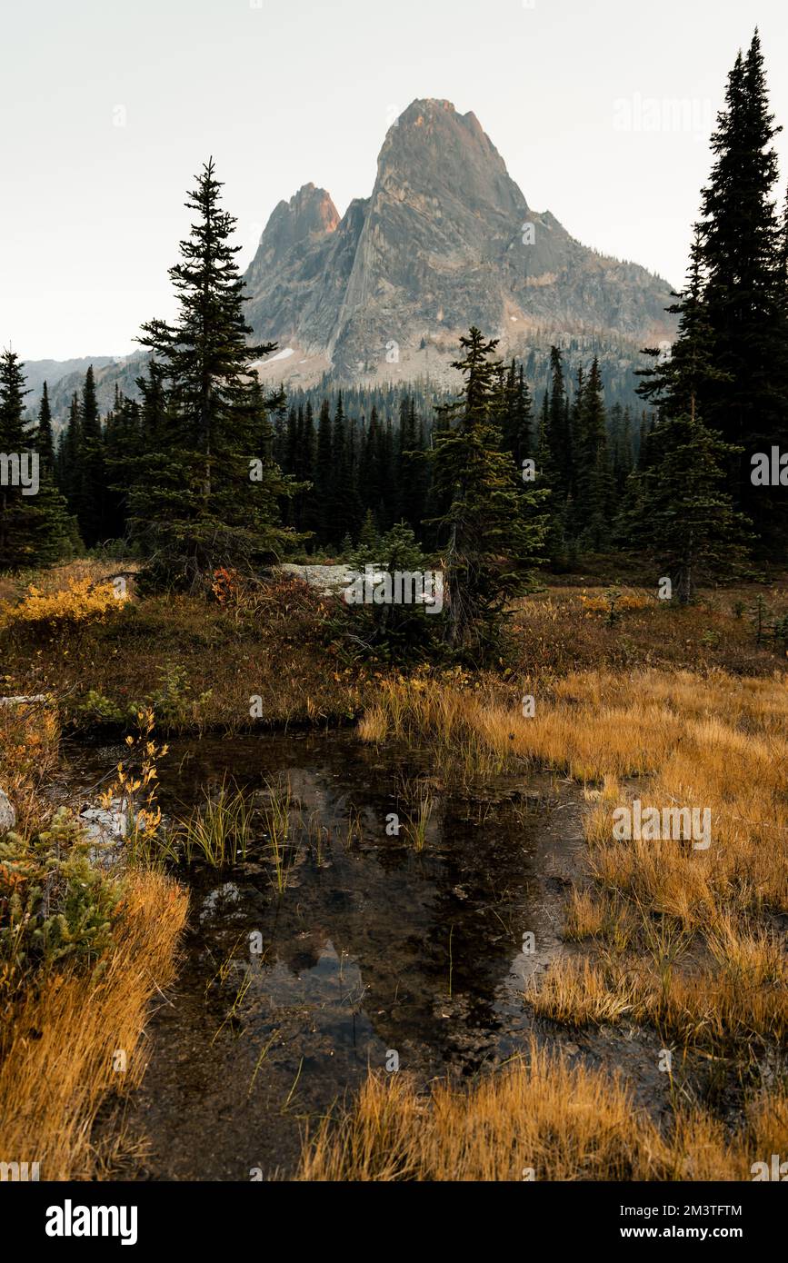 il washington pass si affaccia vicino all'entrata orientale del parco nazionale delle cascate settentrionali nel nord centrale di washington. Foto Stock