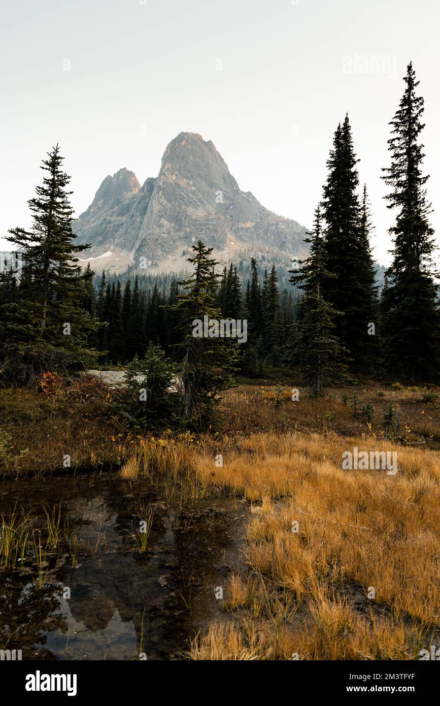 il washington pass si affaccia vicino all'entrata orientale del parco nazionale delle cascate settentrionali nel nord centrale di washington. Foto Stock