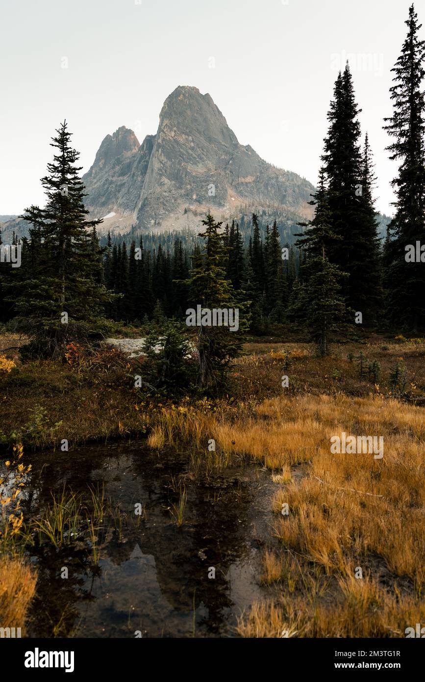 il washington pass si affaccia vicino all'entrata orientale del parco nazionale delle cascate settentrionali nel nord centrale di washington. Foto Stock