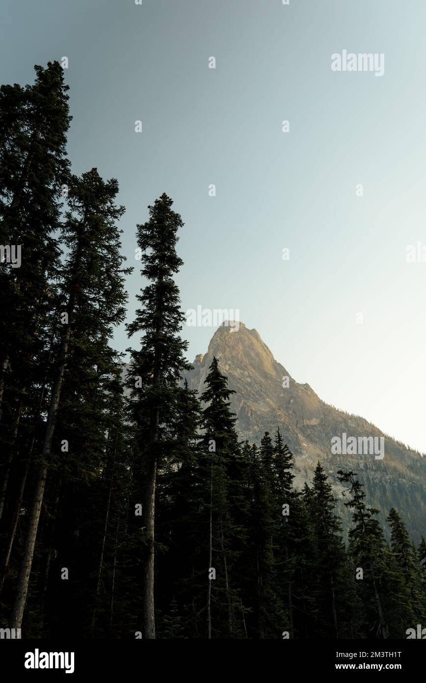 il washington pass si affaccia vicino all'entrata orientale del parco nazionale delle cascate settentrionali nel nord centrale di washington. Foto Stock