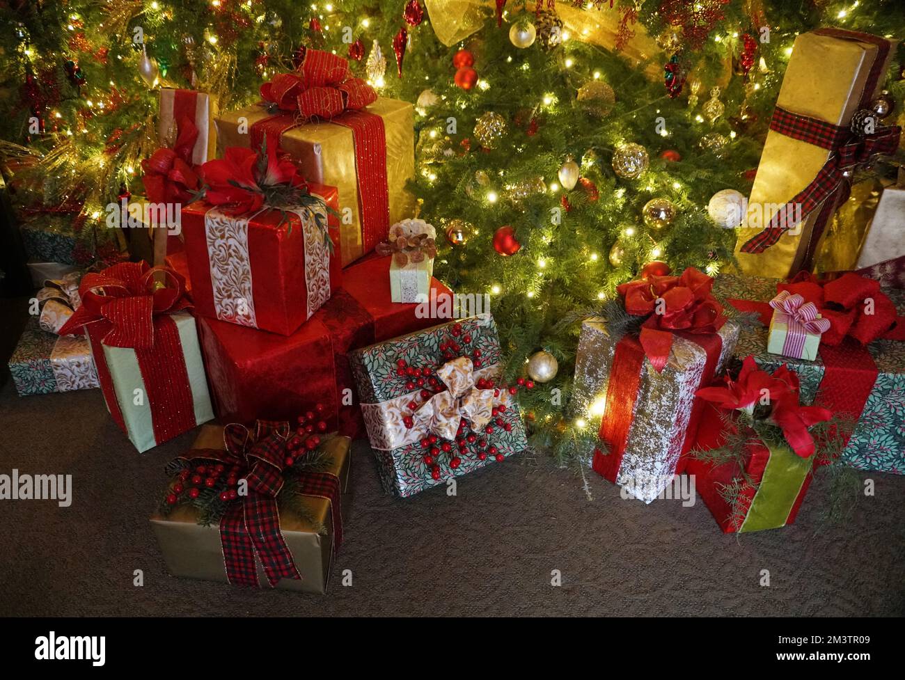 Scatole colorate di regali avvolti sotto un albero di Natale Foto Stock