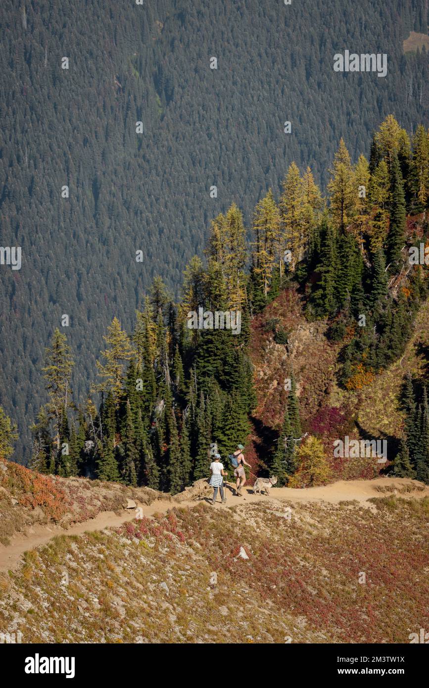 Due escursionisti escursionisti non identificabili trekking lungo un sentiero a piedi con il loro cane al guinzaglio con grandi alberi e montagna come sfondo sulla mappa Foto Stock