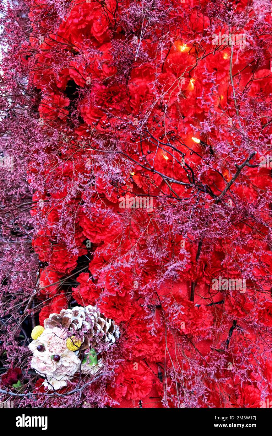 Esposizione festiva di garofani rossi con un garofano bianco che assomiglia ad un volto Foto Stock