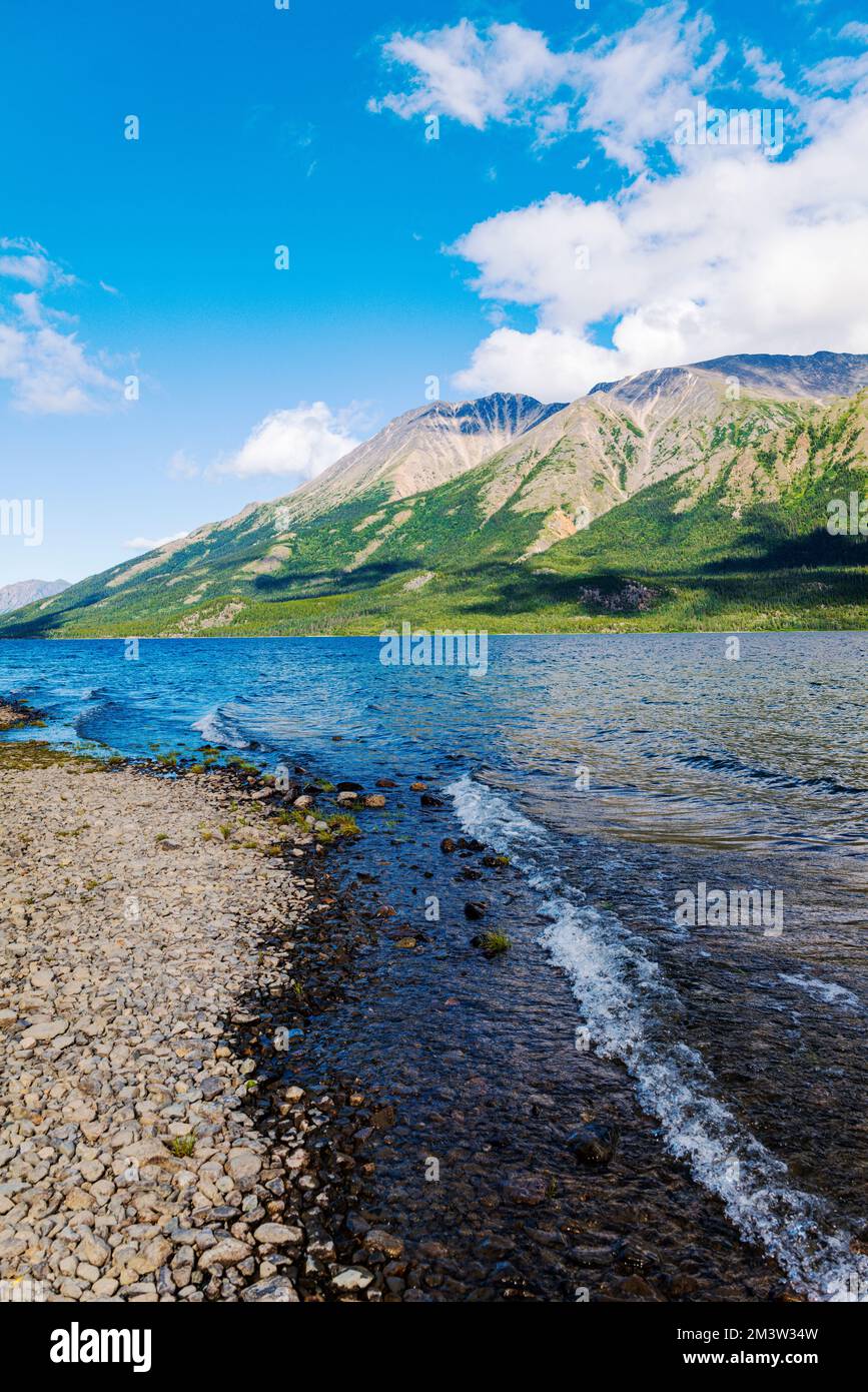 Lago Tutshi; Jack Peak; British Columbia; Canada Foto Stock