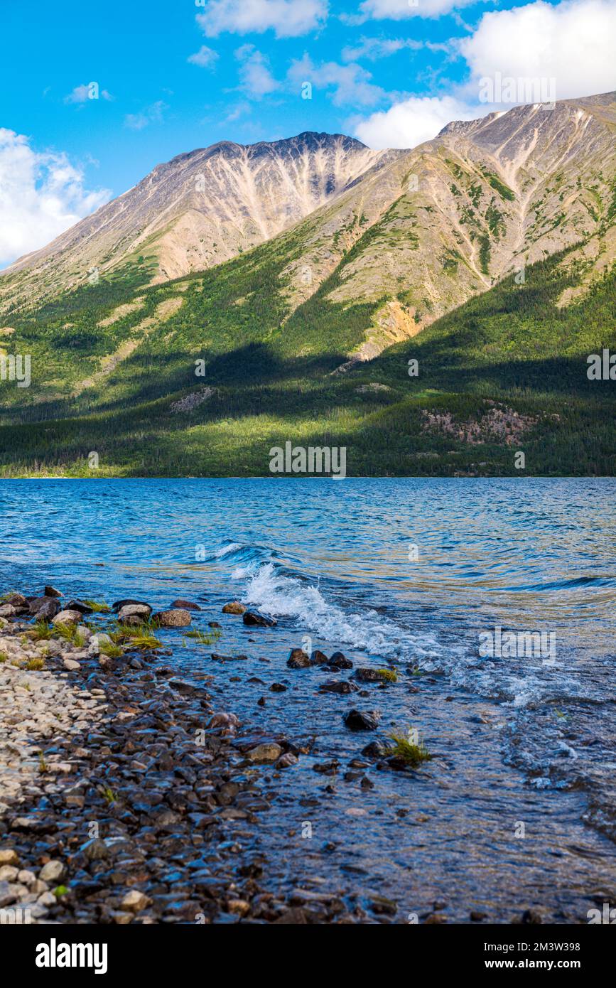 Lago Tutshi; Jack Peak; British Columbia; Canada Foto Stock