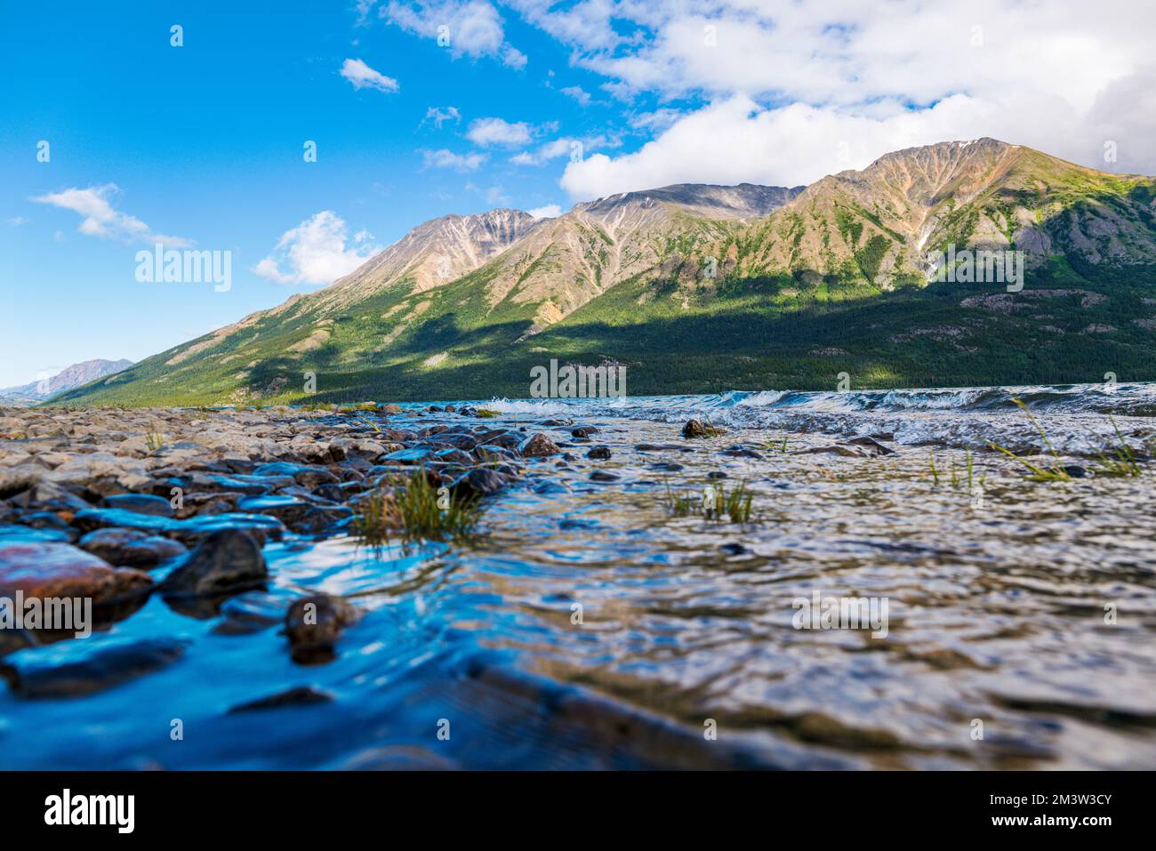 Lago Tutshi; Jack Peak; British Columbia; Canada Foto Stock