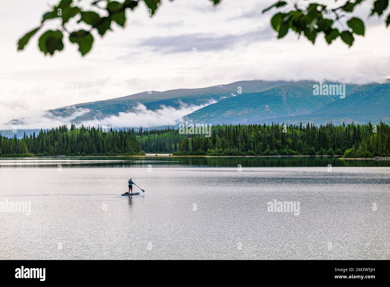 Un pedalò in piedi; il lago di Boya; il parco provinciale di Ta CH'ila; la Columbia Britannica; il Canada Foto Stock