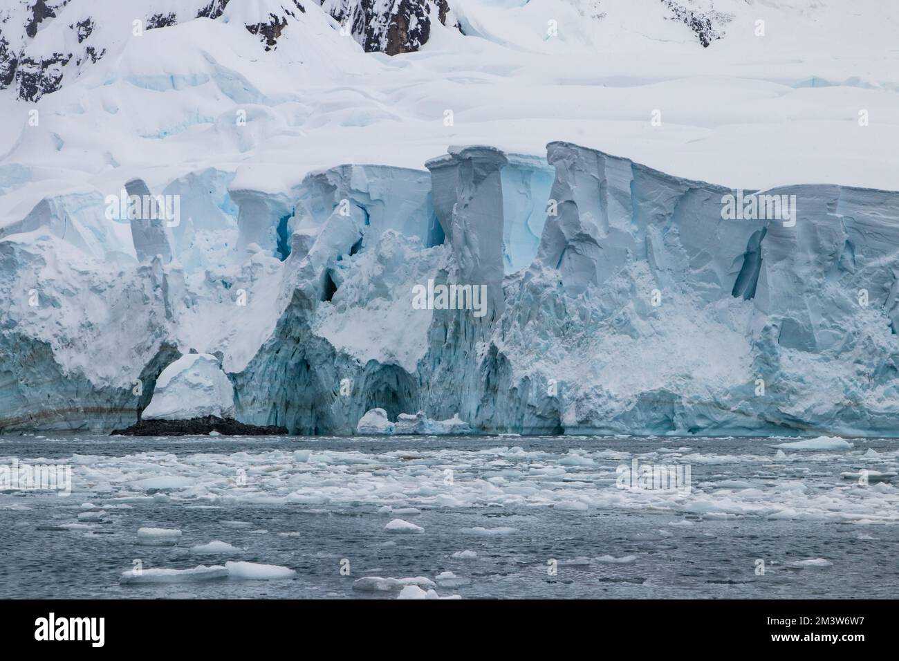 Formazione di ghiaccio blu frastagliato ai margini della penisola antartica. Neve e rocce sullo sfondo; mare calmo, disseminato di pezzi di ghiaccio marino. Foto Stock