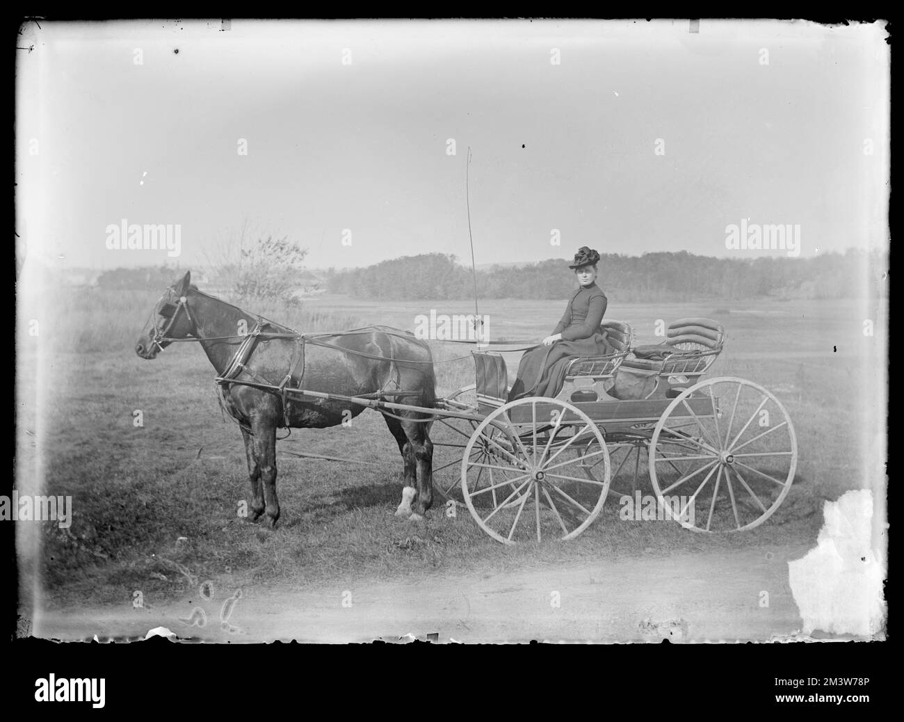 Stella buona in carrozza trainata da cavalli, persone. Collezione di diapositive in vetro della biblioteca pubblica di Hingham Foto Stock