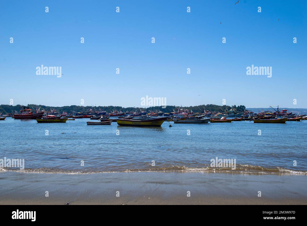 Barche da pesca di fronte alla baia di Tumbes, Talcahuano, Cile Foto Stock