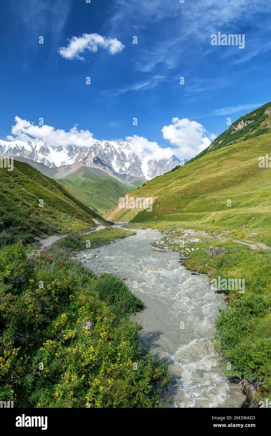 Vista del ghiacciaio di Shara, valle di montagna, lingua del ghiacciaio, morena glaciale, montagne del Caucaso, Ushguli, Caucaso, Georgia Foto Stock