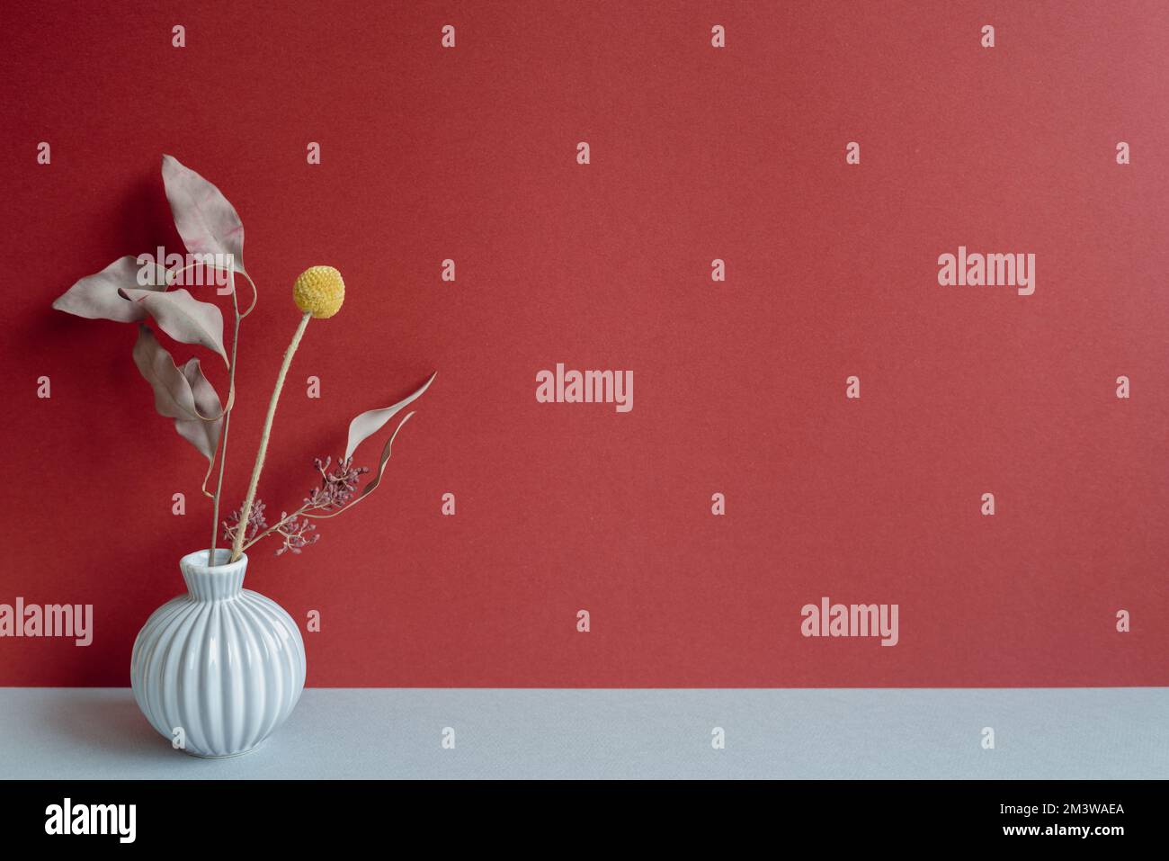 Vaso di fiori secchi su tavola grigia. sfondo parete rosso. arredamento interno concetto. minimo, semplice. spazio di copia Foto Stock