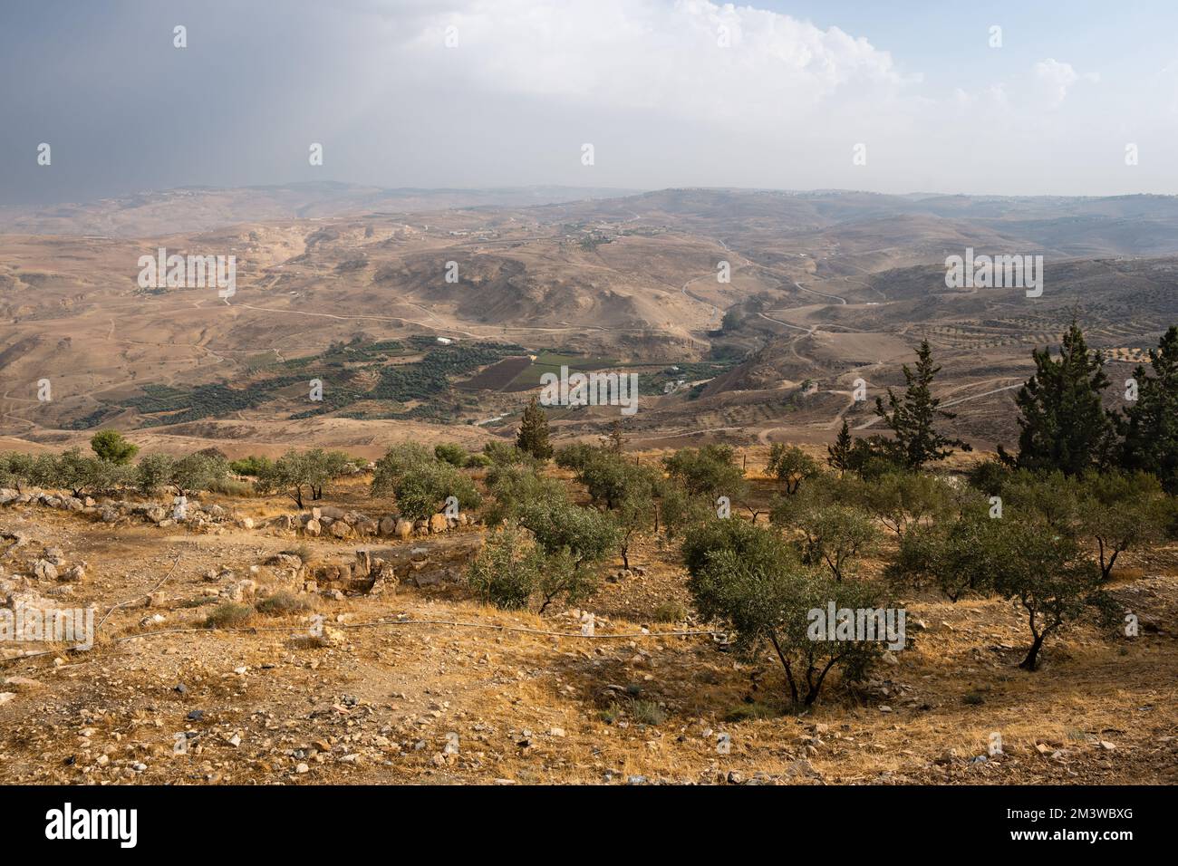 Paesaggio del Monte Nebo con Khirbet al-Mukhayyat Village in Giordania con alberi di ulivo Foto Stock