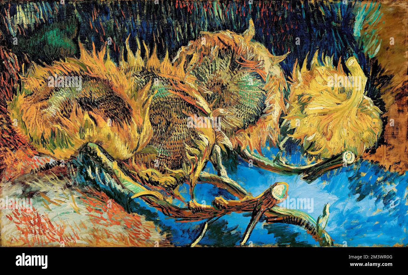 Girasoli Di Van Gogh Dove Sono Quadri girasoli vincent van gogh immagini e fotografie stock ad alta