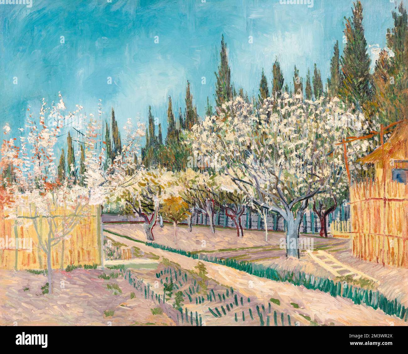 Vincent van Gogh, frutteto delimitato da cipressi, pittura in olio su tela, 1888 Foto Stock