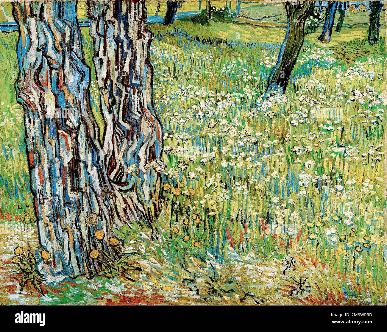 Vincent van Gogh, Trunks albero in erba, pittura in olio su tela, 1890 Foto Stock