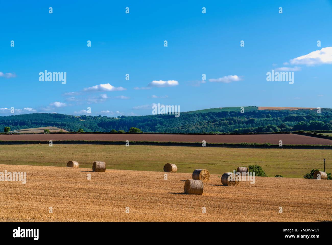 Scena di paese inglese con balle di fieno come bobine di cotone Foto Stock