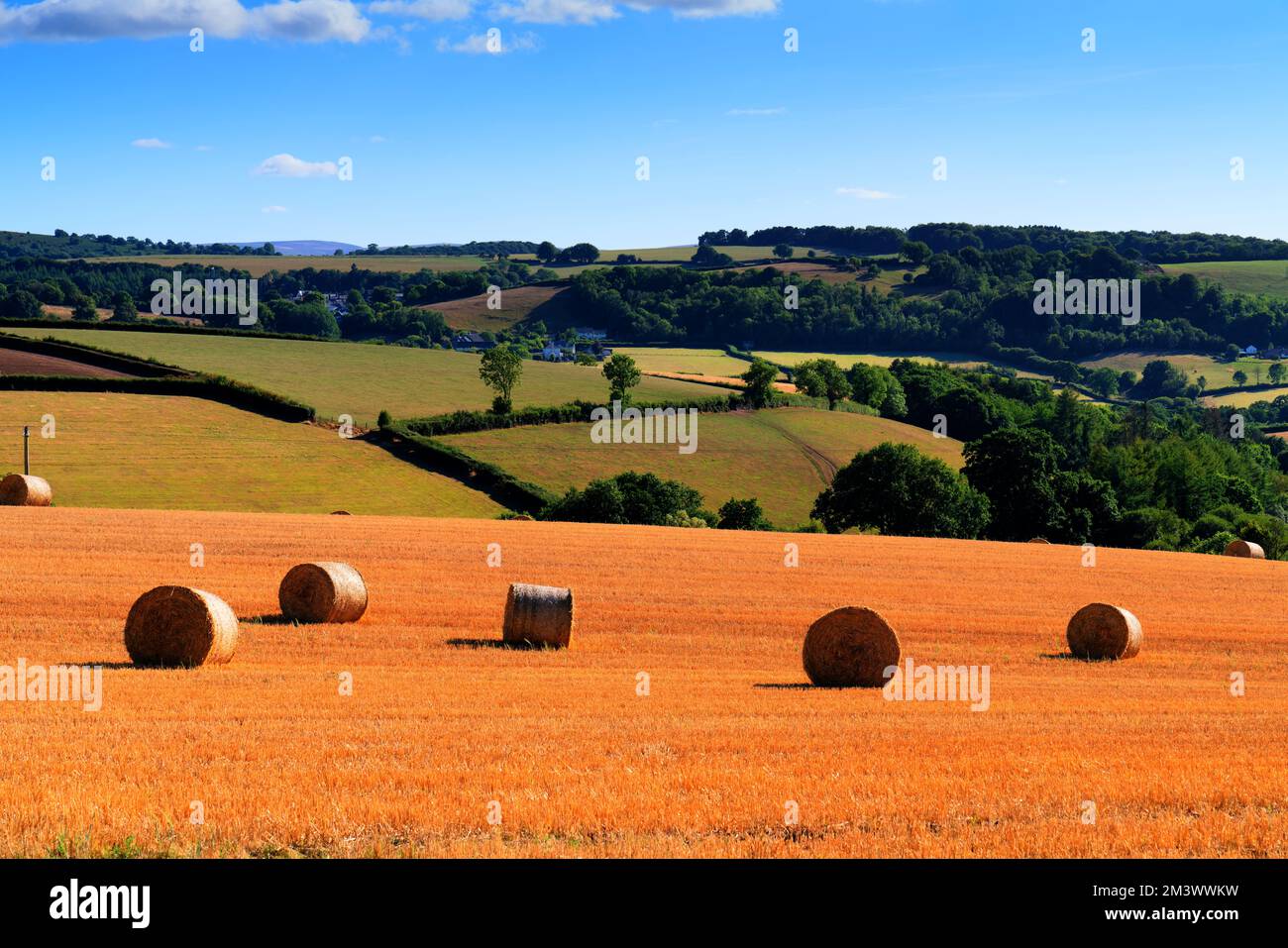 Scena di campagna inglese con balle di fieno come bobine di cotone Foto Stock