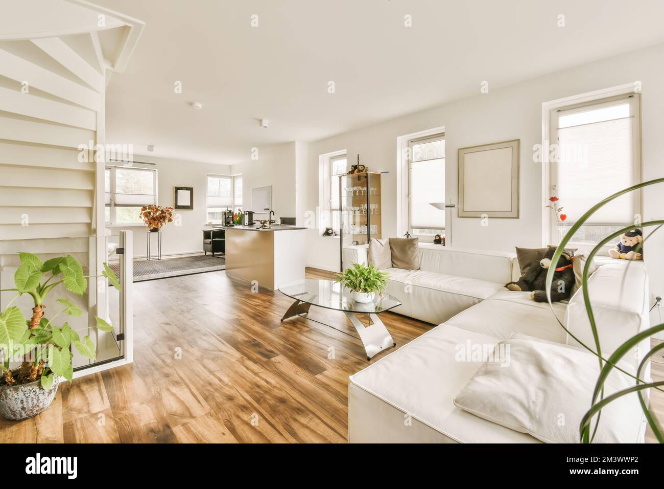 un soggiorno con pavimento in legno e divani bianchi al centro della stanza è una cucina a vista Foto Stock