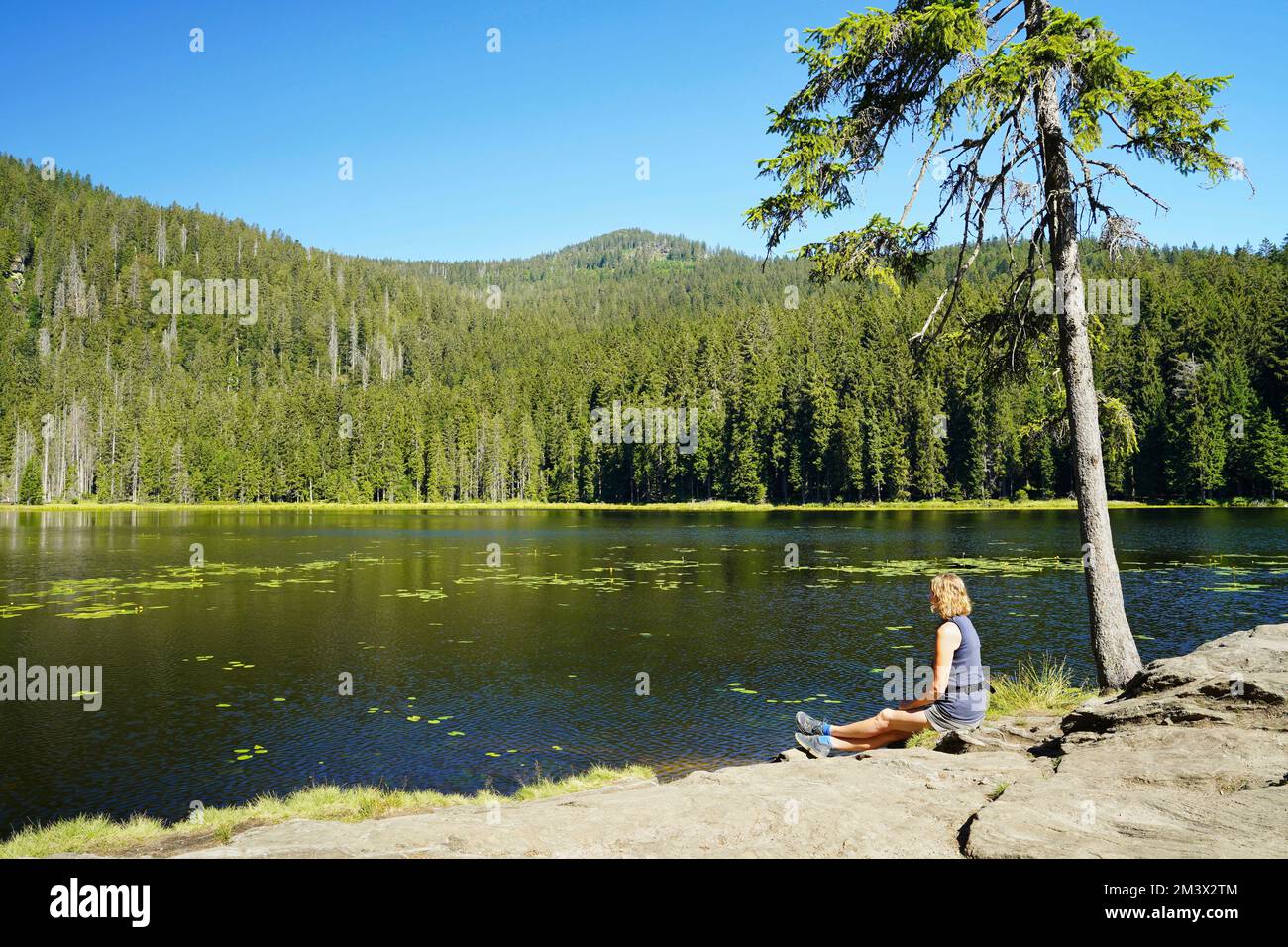 Una donna caucasica seduta sul bellissimo lago Großer Arbersee nella Foresta Bavarese. Palatinato superiore, Baviera, Germania. Foto Stock