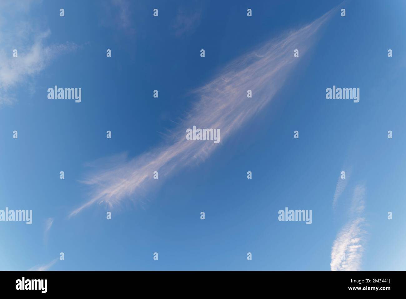 Cirrus cloud contro un cielo blu Foto Stock
