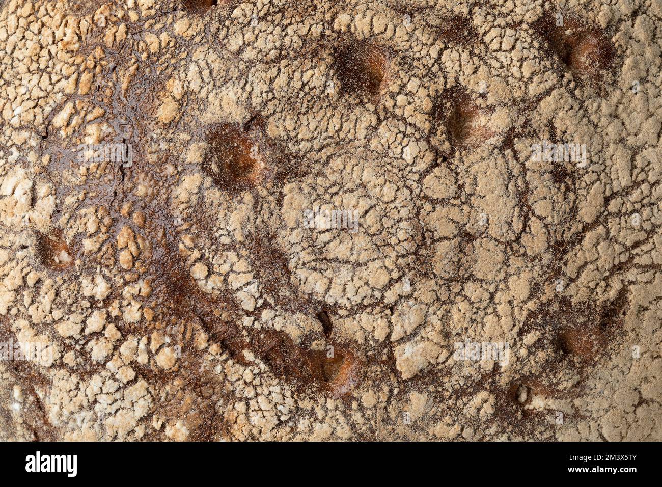 Crosta tradizionale di un Bauernkloben brot tedesco intero, pane misto di segale, cornice completa primo piano come sfondo Foto Stock