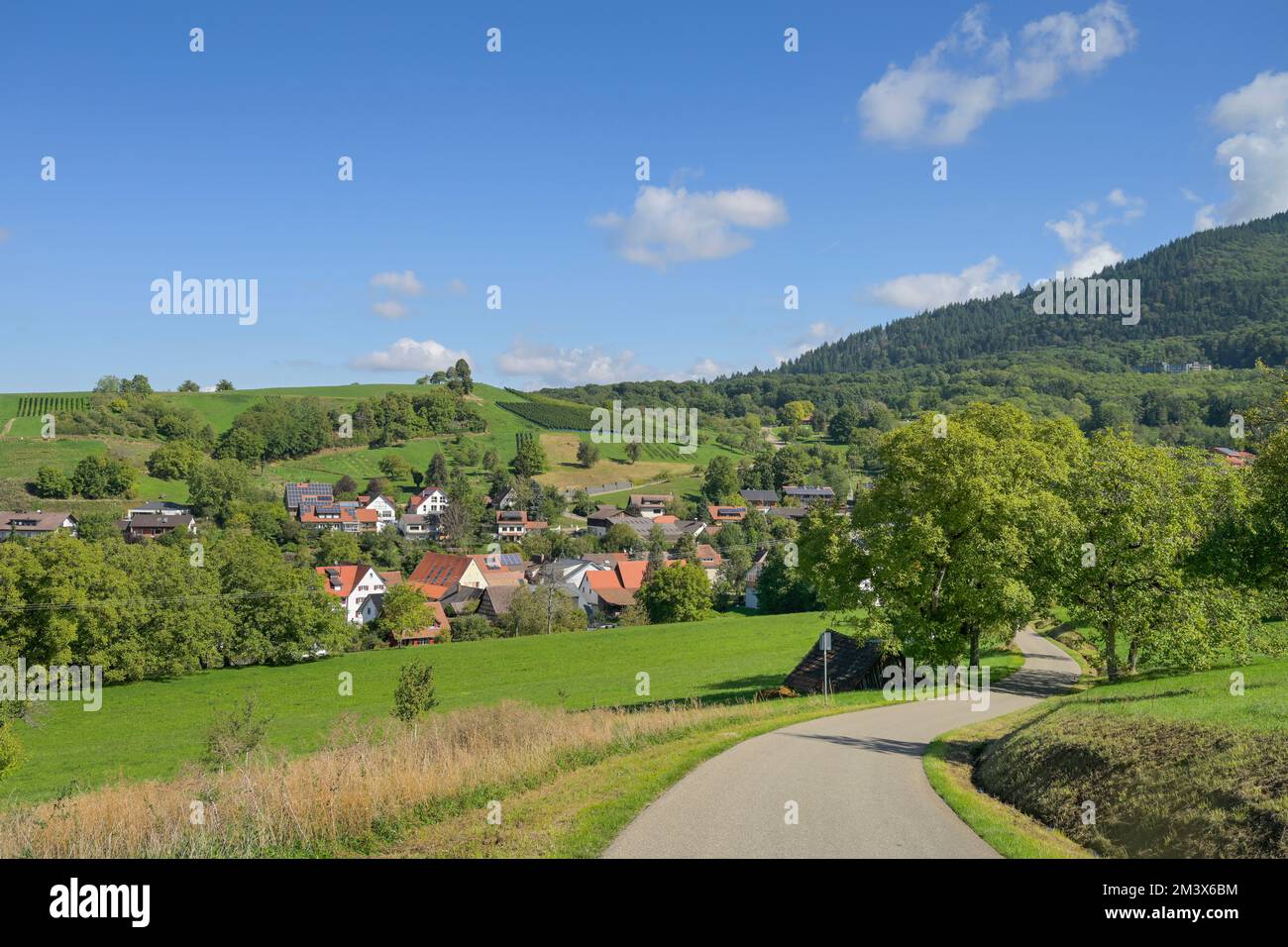 Feldweg, Landstraße, Lipburg, Badenweiler, Markgräflerland, Baden-Württemberg, Germania Foto Stock