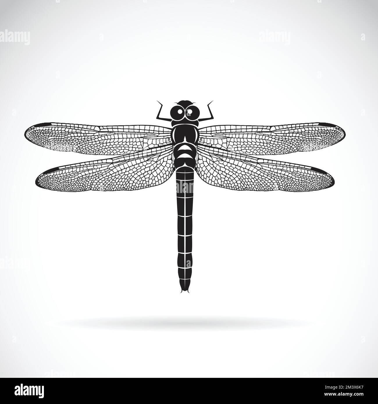 Vettore di libellula su sfondo bianco. Animale di insetto. Illustrazione vettoriale a strati facilmente modificabile. Illustrazione Vettoriale