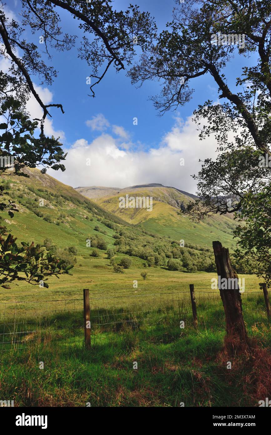 Vista verso ben Nevis da accanto al fiume a Glen Nevis, vicino a Fort William, Highlands scozzesi. Foto Stock