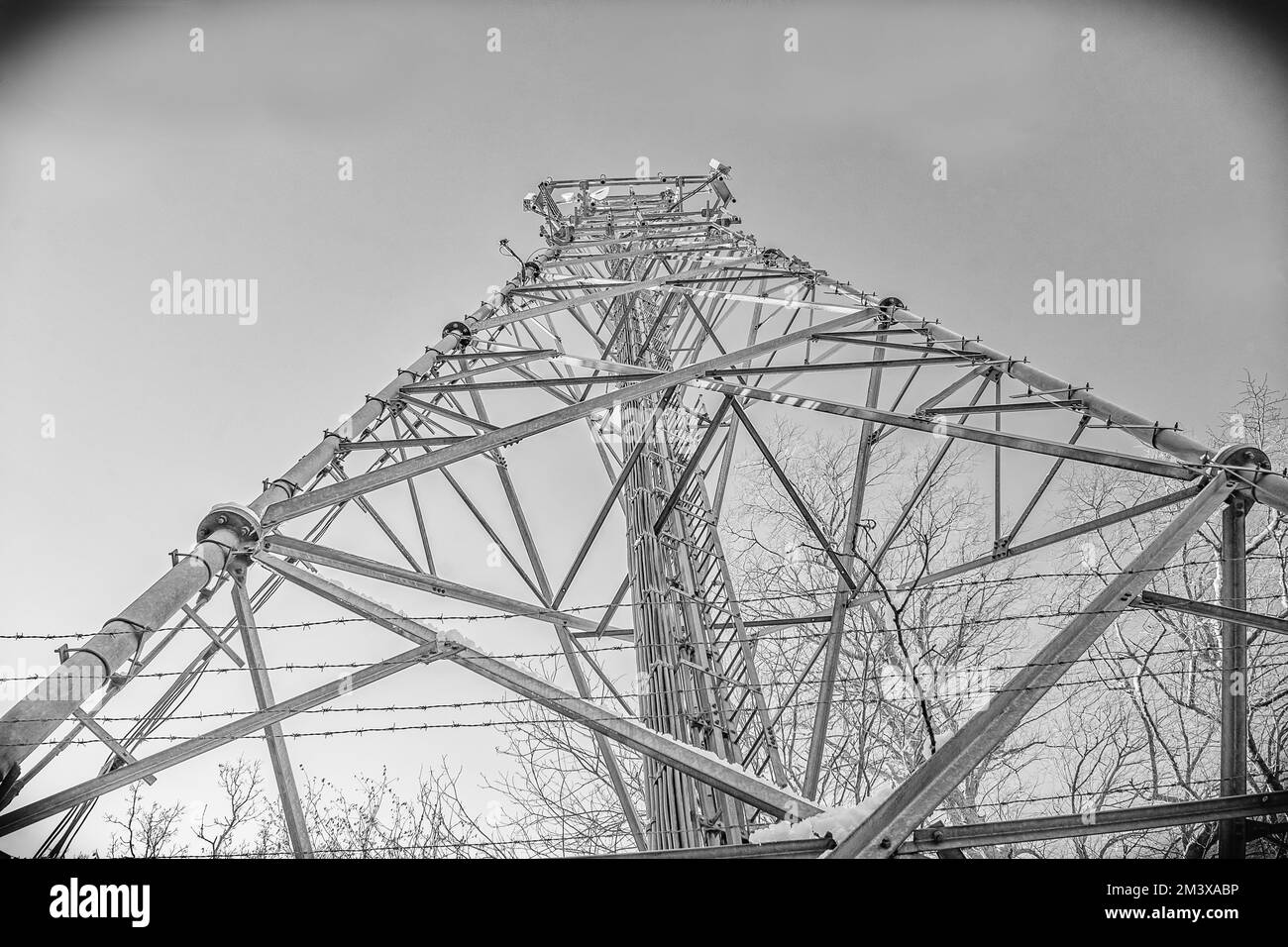 Un trattamento in bianco e nero che guarda verso l'alto lungo una torre di comunicazione in acciaio in un ambiente rurale Foto Stock