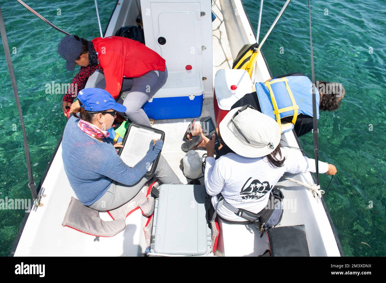 Team di biologi marini che raccoglie i dati per il test della qualità dell'acqua Foto Stock