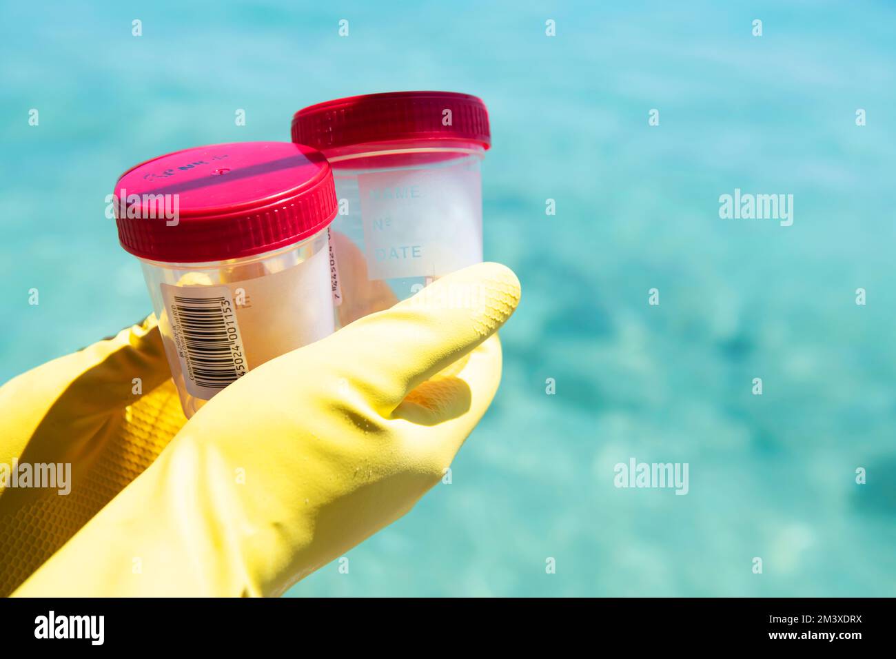 Mano biologa marina che mostra il portacampioni Foto Stock