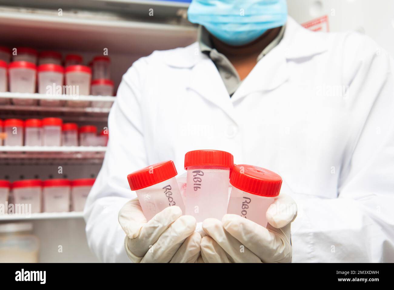 Ricercatore che mostra i portacampioni in un laboratorio. Foto Stock