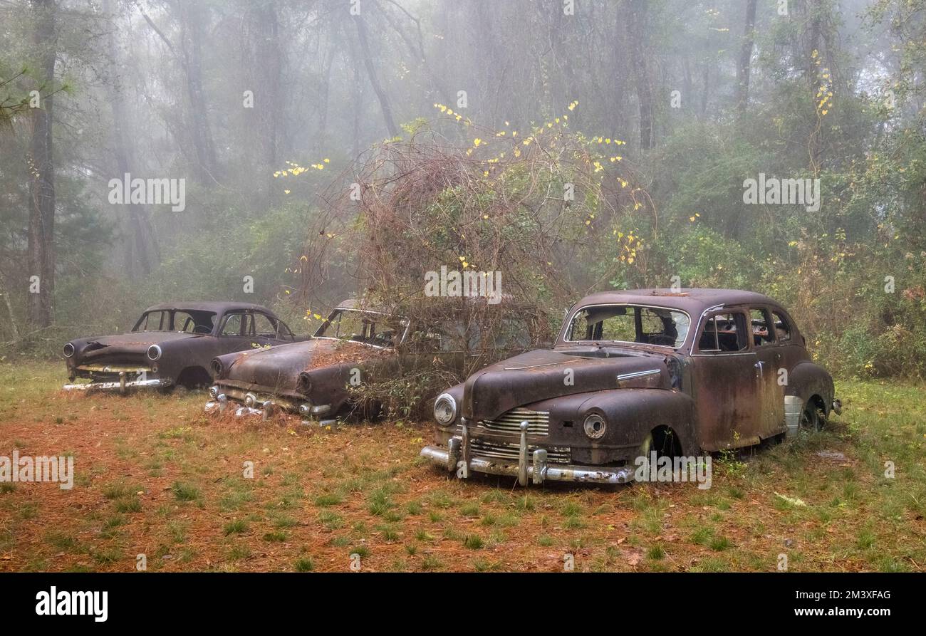 Vecchie auto arrugginite abbandonate e camion in una giornata di nebbia a Crawfordville Florida Foto Stock