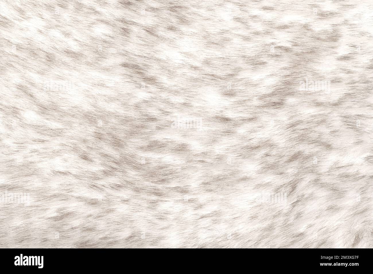 Pelliccia finta di lupo bianco, superficie, primo piano, dall'alto. Pelliccia sintetica. Pelo di tessuto e animale-amichevole alternativa alla pelliccia. Foto Stock